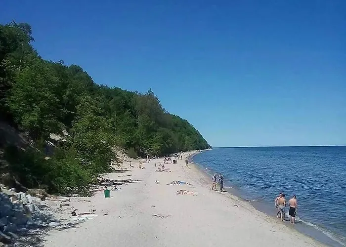 U Karoli 公寓 格丁尼亚